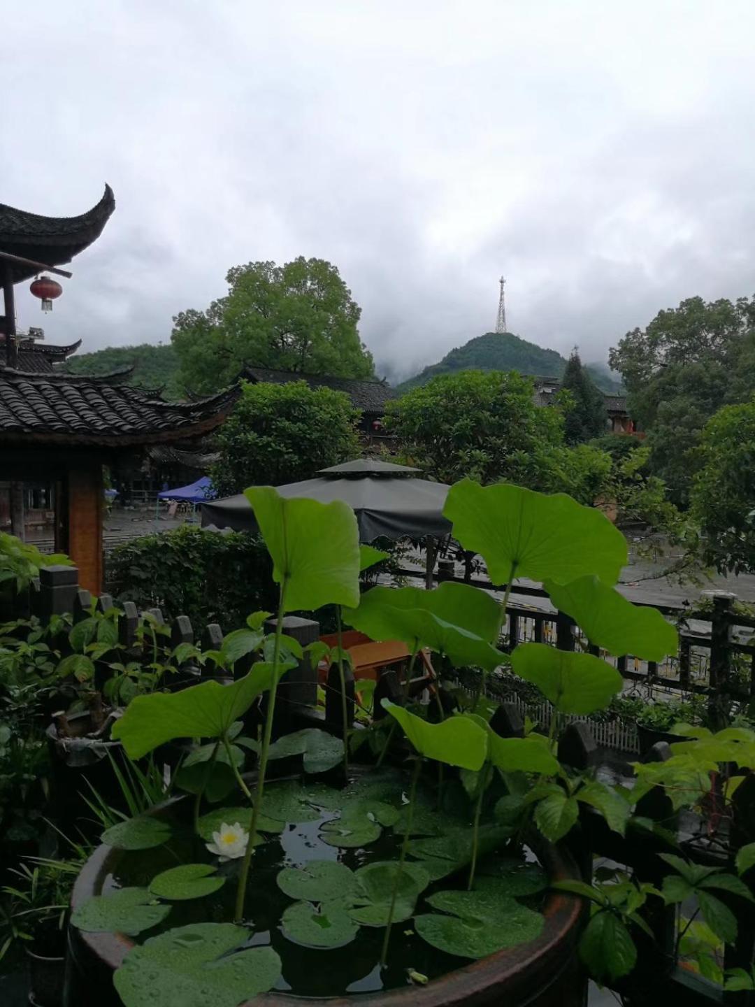 372 Jingjing Yongshun