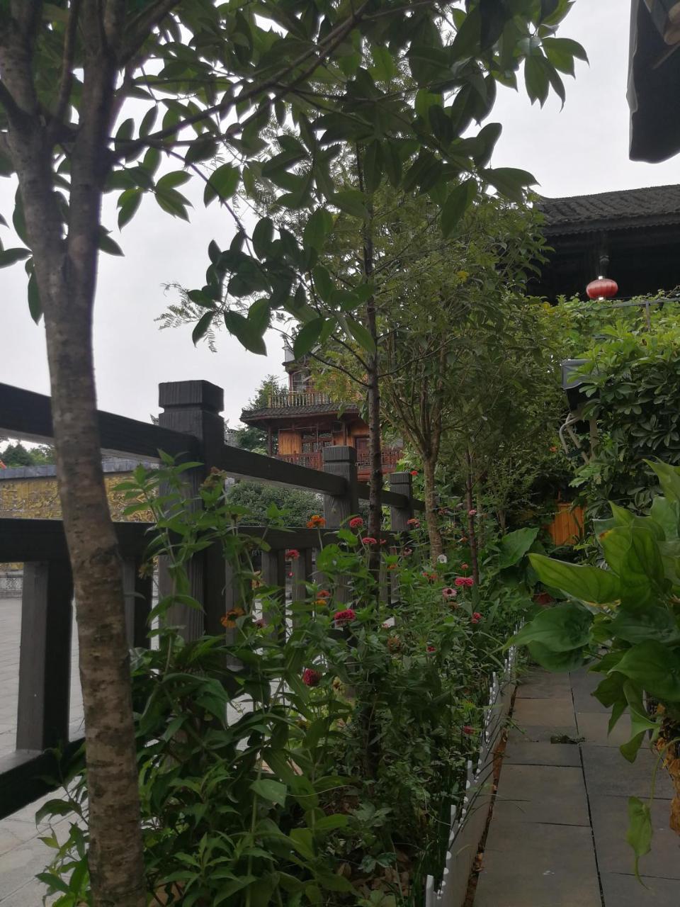372 Jingjing *
